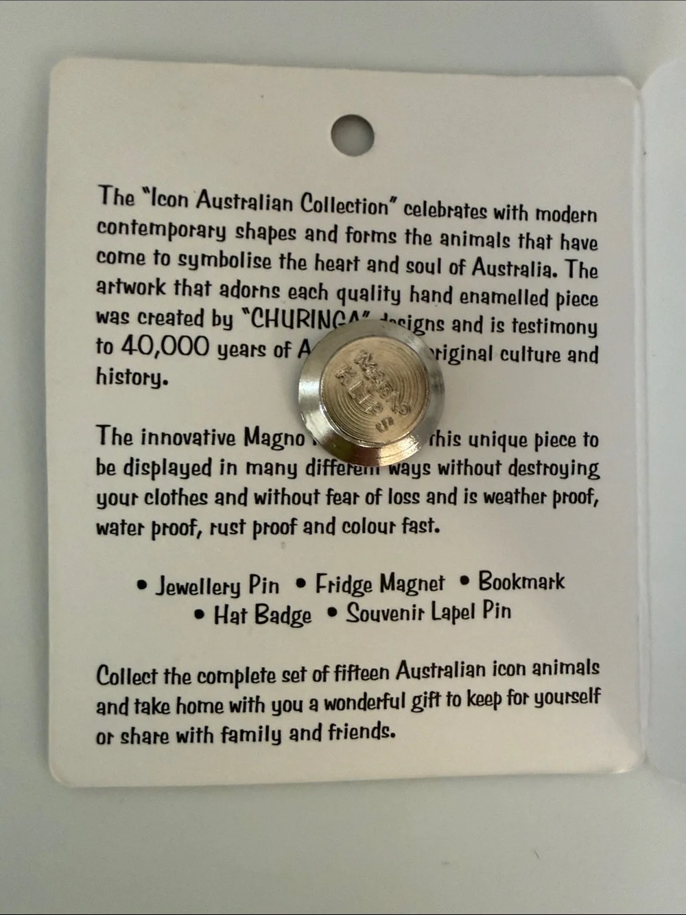 Australian Lizard Enamel Magnetic Brooch